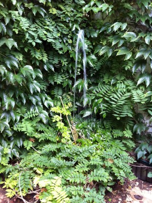 studio-pt1-fountain